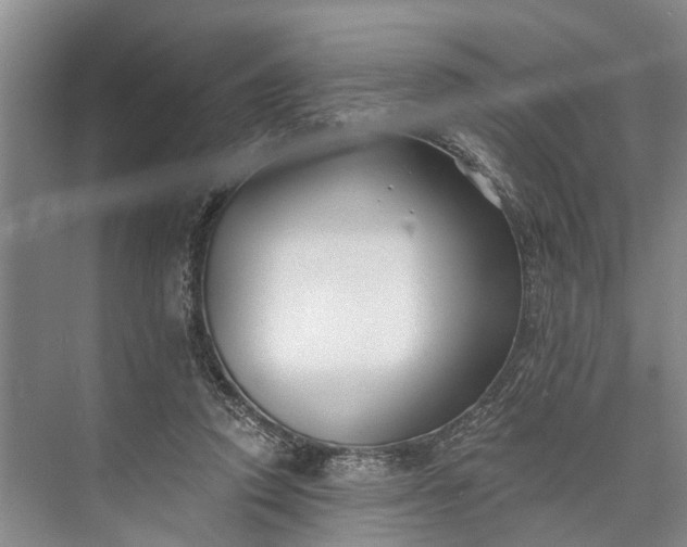 X0000073520354200608141006