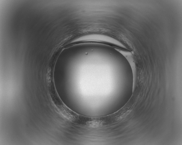 X0000073520356200608141006