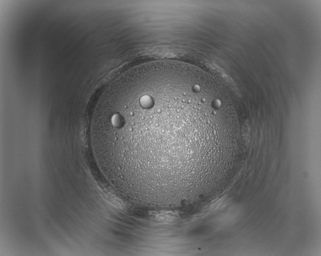 X0000073520359200608141006