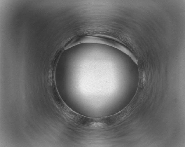 X0000073520360200608141006