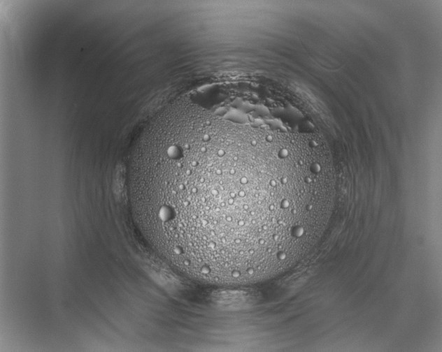 X0000073520361200608141006