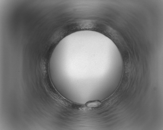 X0000073520362200608141006