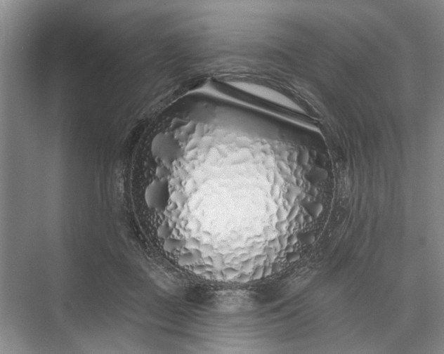 X0000073520363200608141006