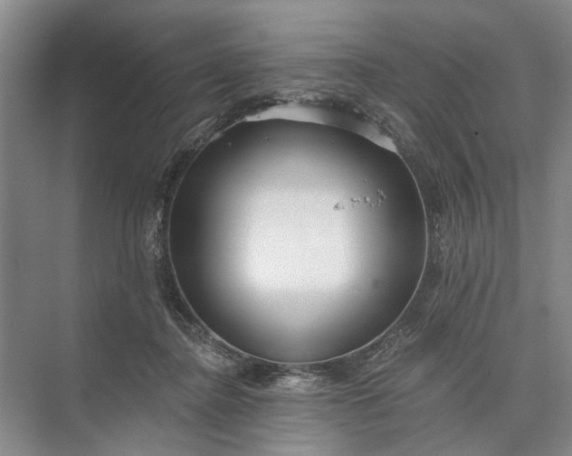 X0000073520364200608141006