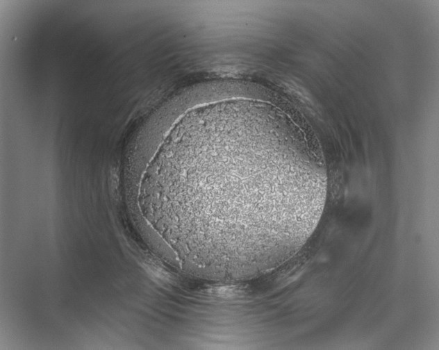 X0000073520365200608141006