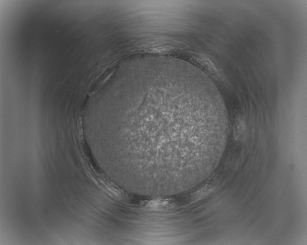 X0000073520366200608141006