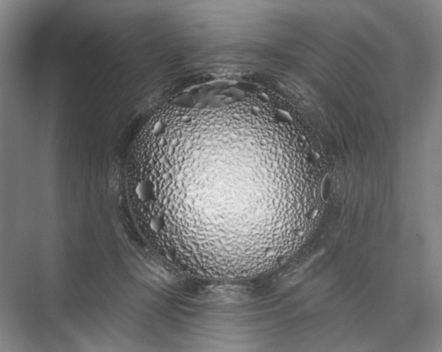 X0000073520367200608141006