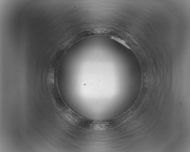 X0000073520368200608141006