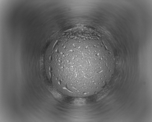 X0000073520369200608141006