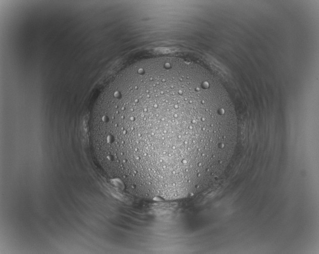 X0000073520373200608141006