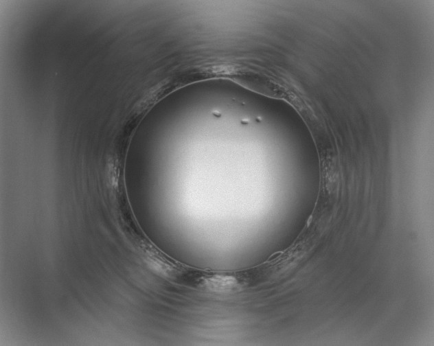 X0000073520374200608141006