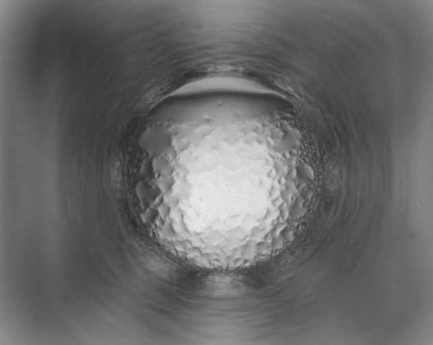 X0000073520375200608141006