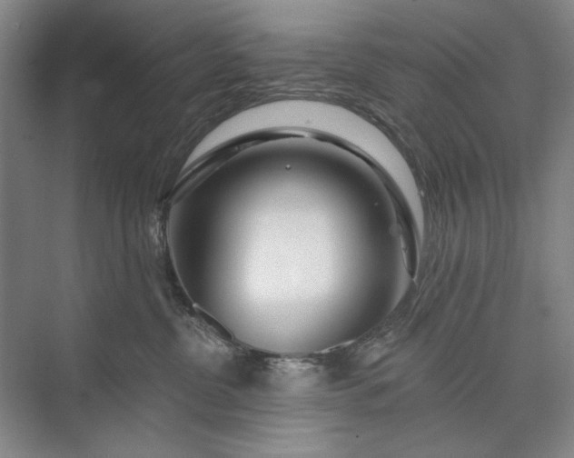 X0000073520380200608141006