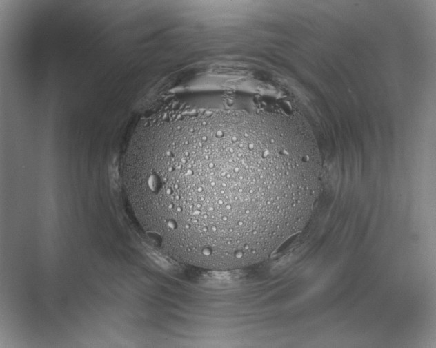 X0000073520381200608141006