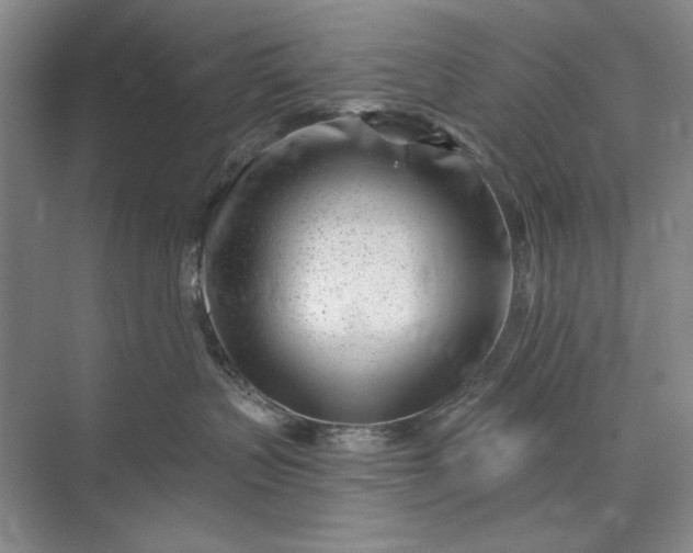 X0000073520383200608141006