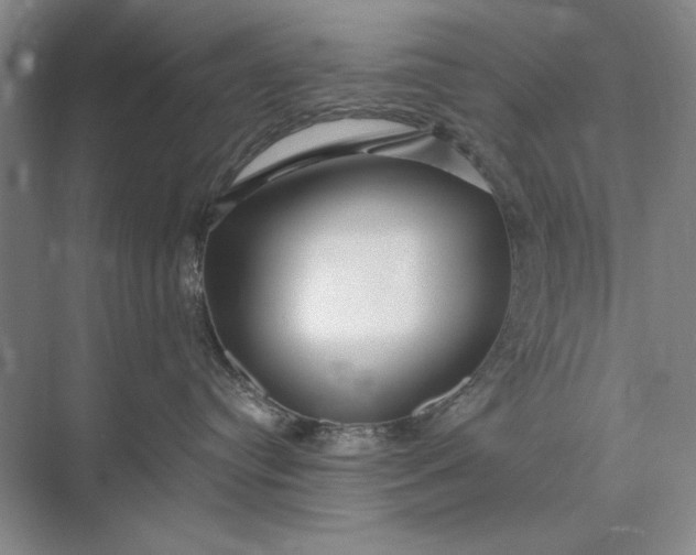 X0000073520384200608141006