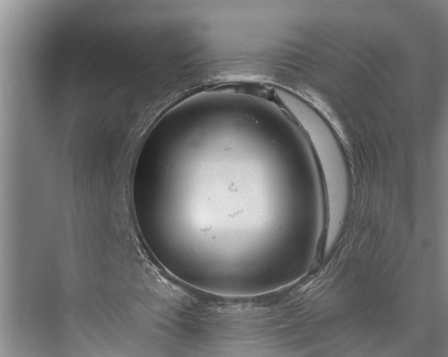 X0000073520385200608141006