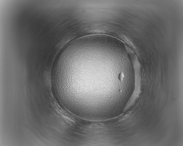 X0000073520386200608141006