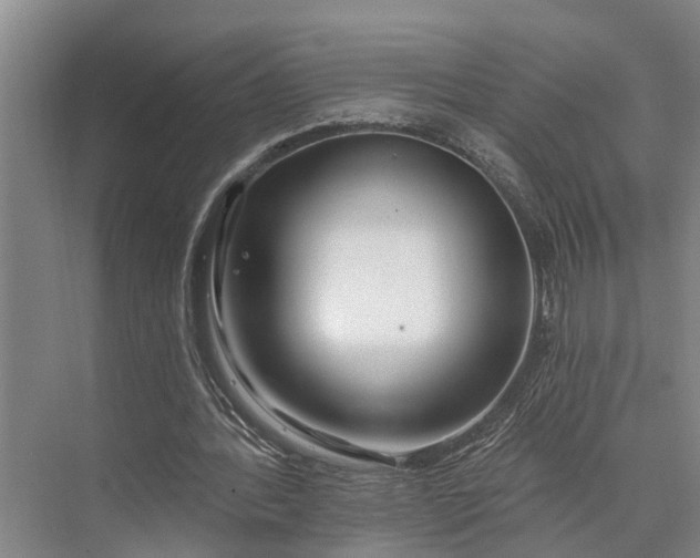 X0000073520388200608141006