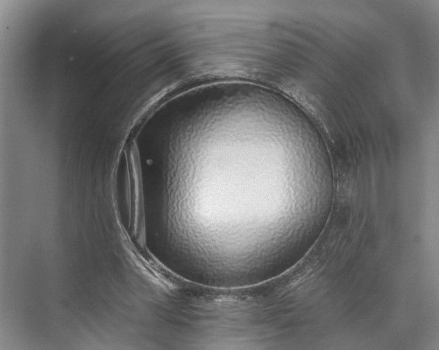 X0000073520390200608141006