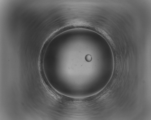 X0000073520391200608141006