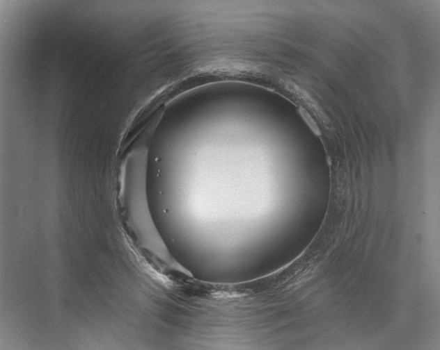 X0000073520399200608141005