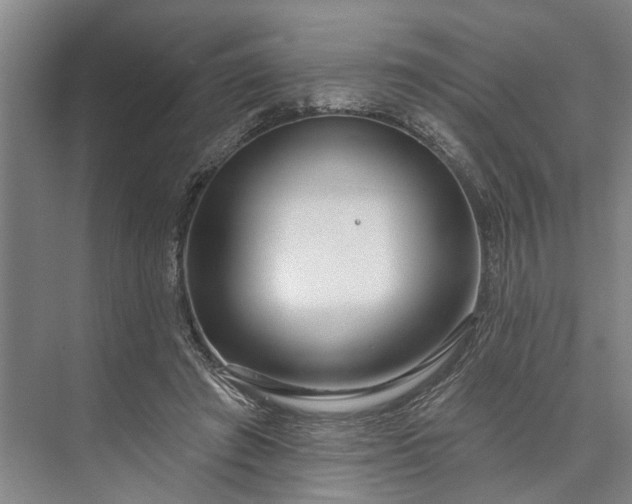 X0000073520401200608141005