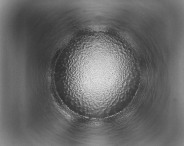 X0000073520402200608141005