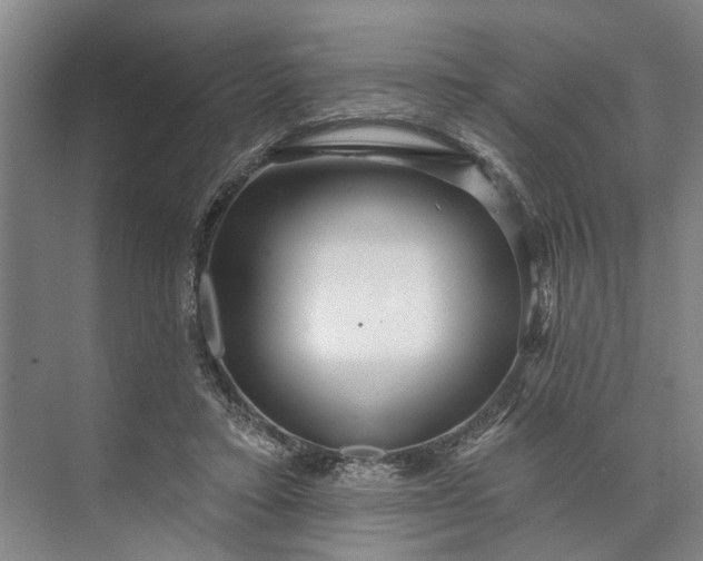 X0000073520403200608141005