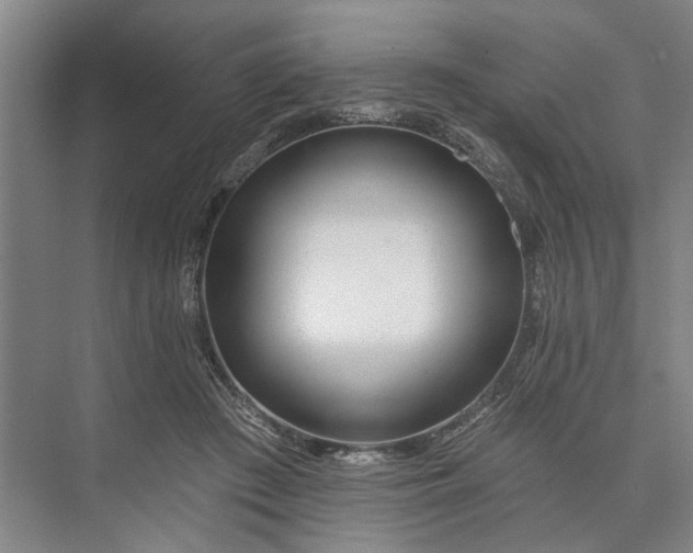 X0000073520409200608141005