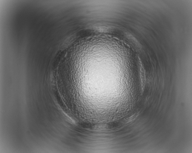 X0000073520410200608141005