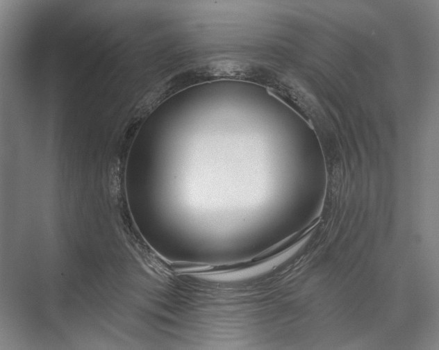 X0000073520413200608141005