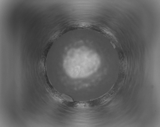 X0000073520415200608141005