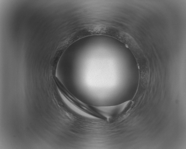 X0000073520416200608141005