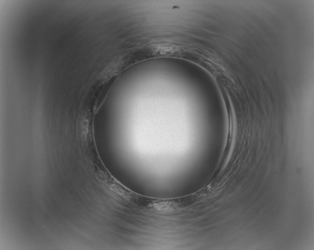 X0000073520417200608141005