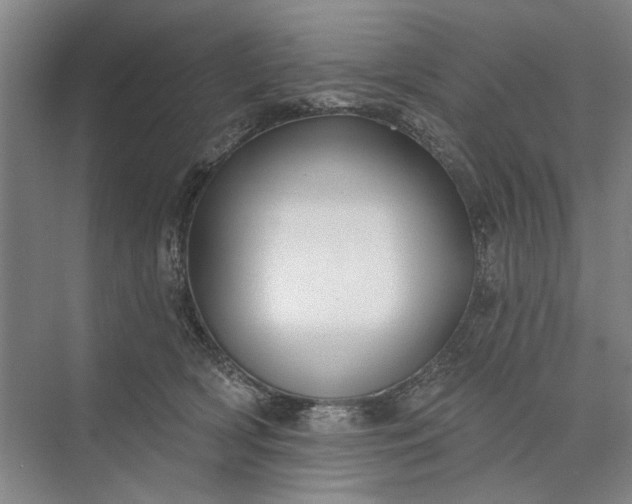 X0000073520418200608141005