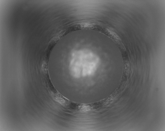 X0000073520419200608141005