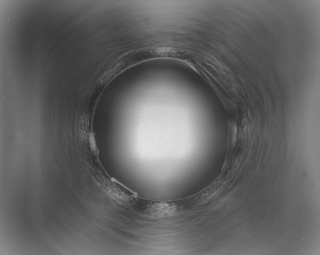 X0000073520421200608141005