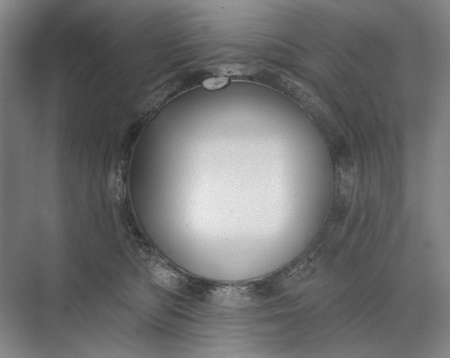 X0000073520422200608141005