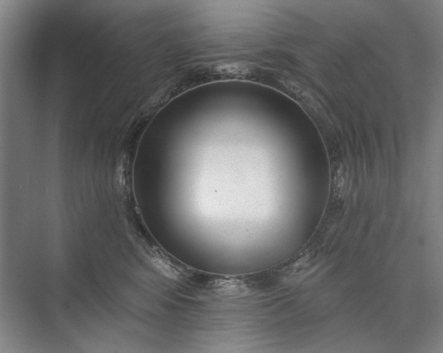 X0000073520424200608141005