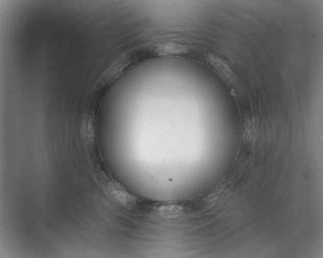 X0000073520426200608141005