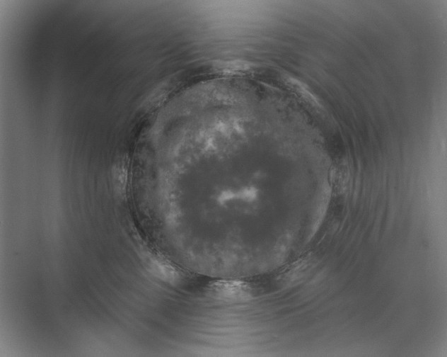 X0000073520427200608141005