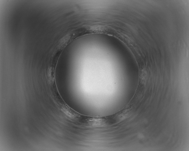 X0000073520428200608141005