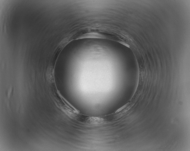 X0000073520429200608141005