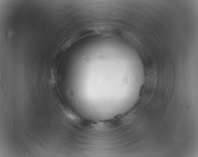 X0000073520430200608141005