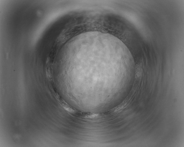 X0000073520431200608141005