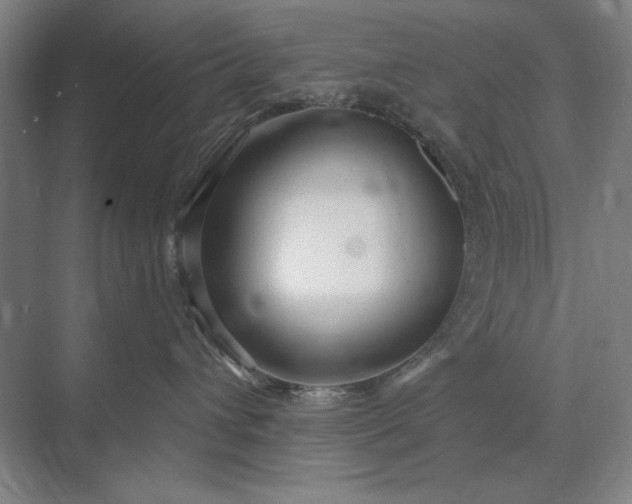 X0000073520432200608141005