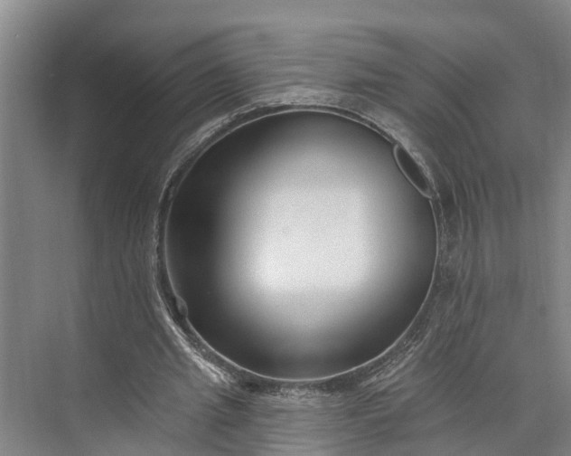 X0000073520437200608141004