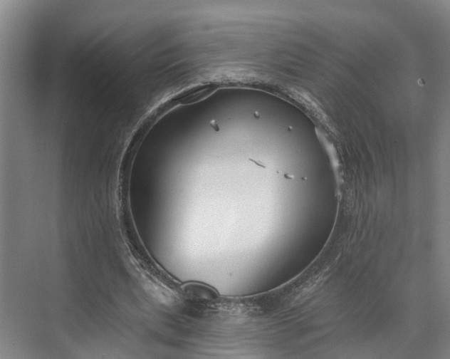 X0000073520439200608141004