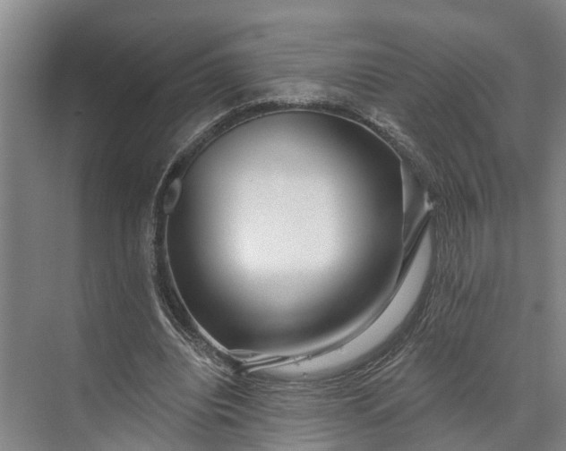 X0000073520440200608141004